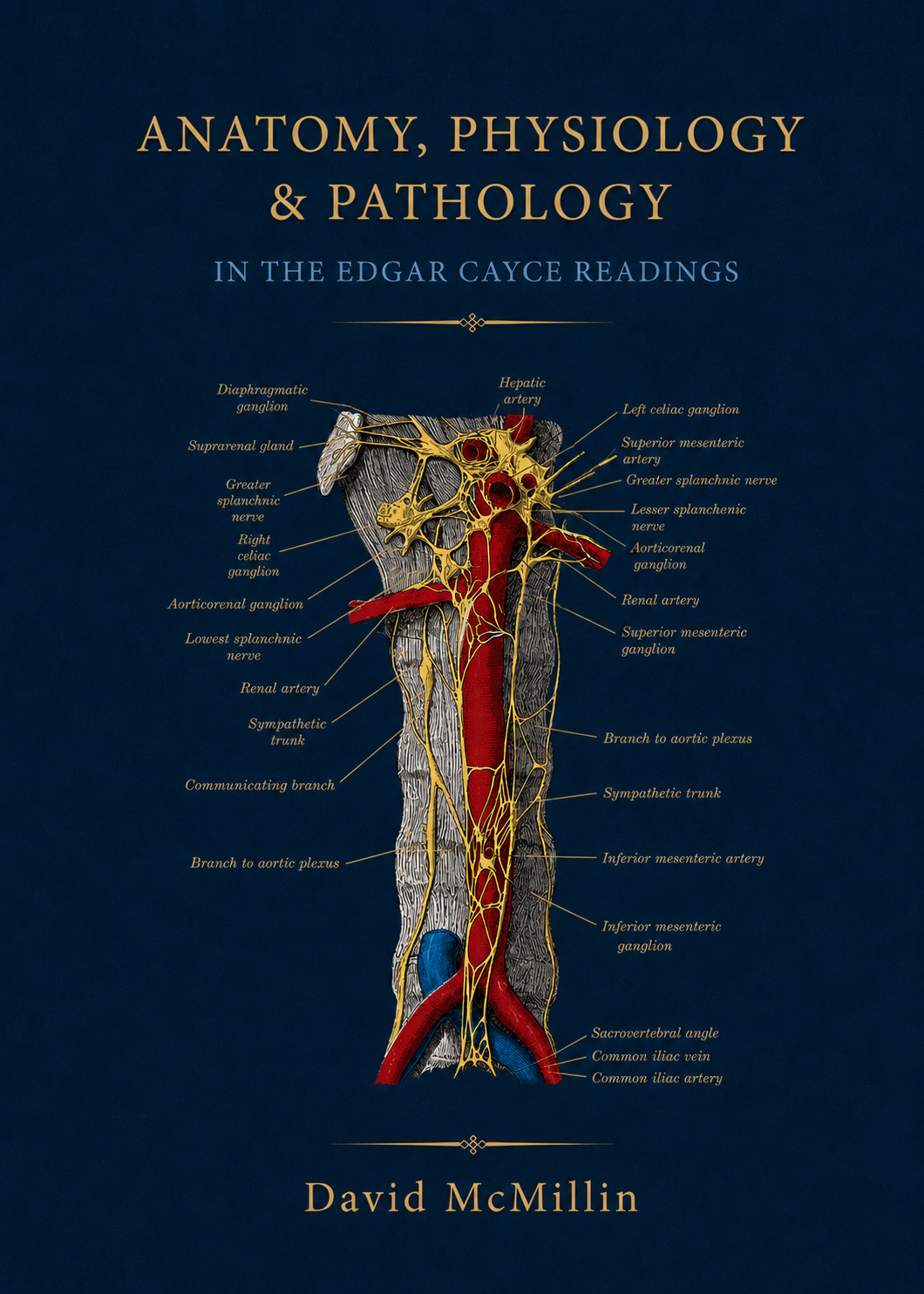 Anatomy, Physiology & Pathology